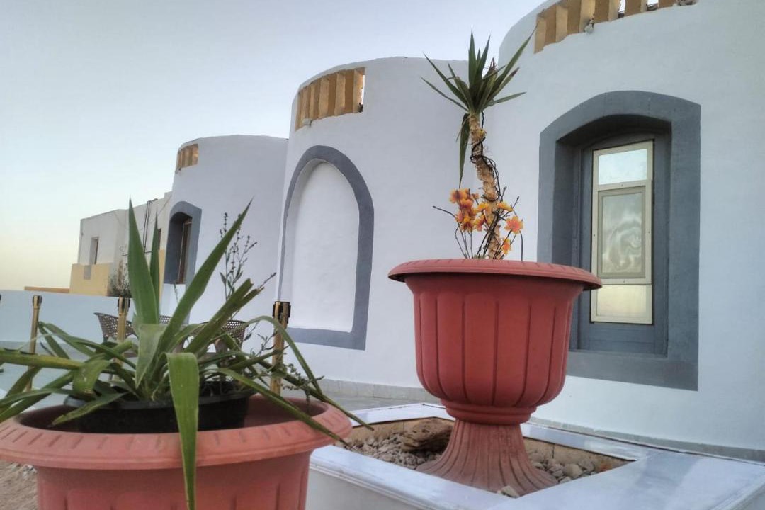 Photo of Others in Dakhla