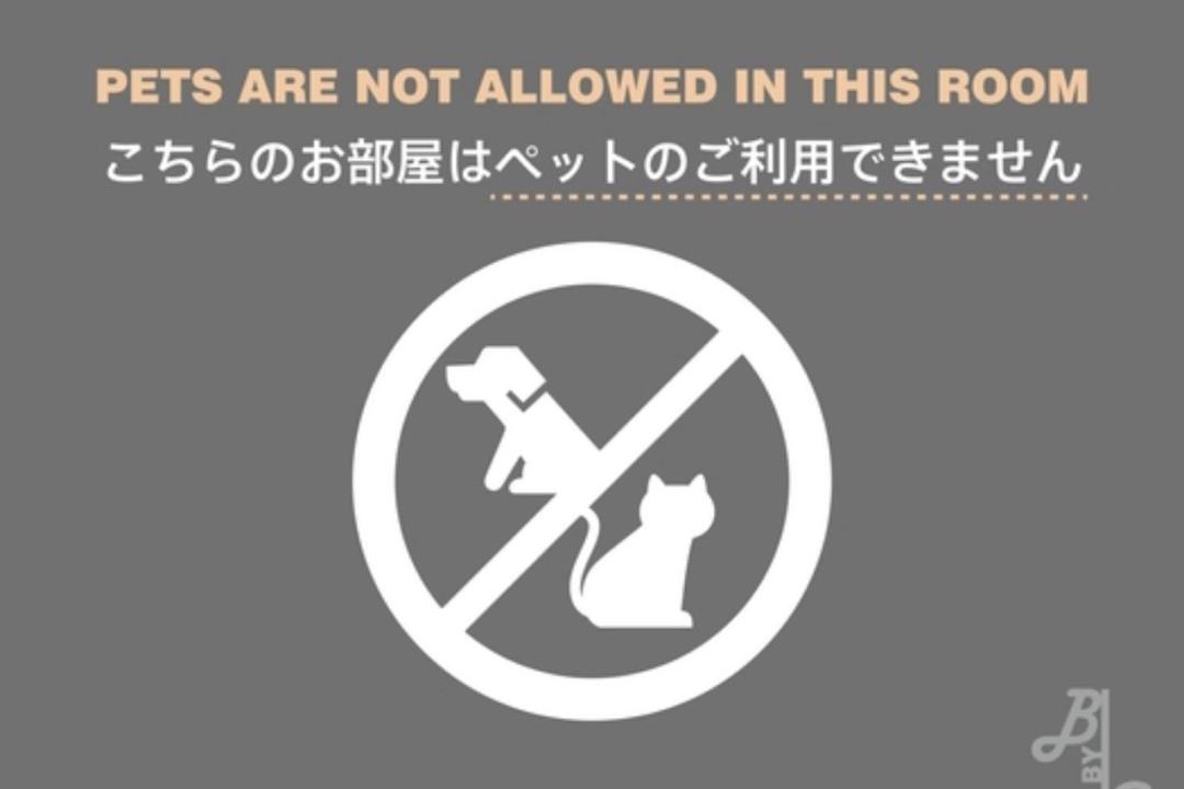 Photo of Others in Asakusa