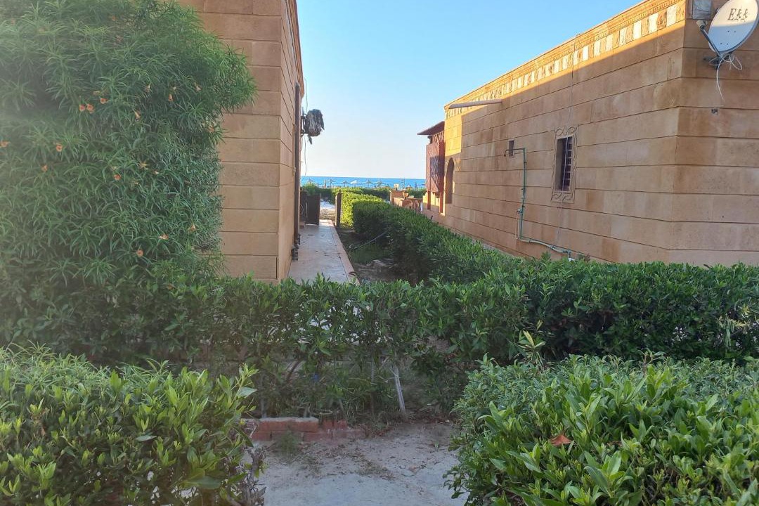 Photo of Others in Marina El Alamein