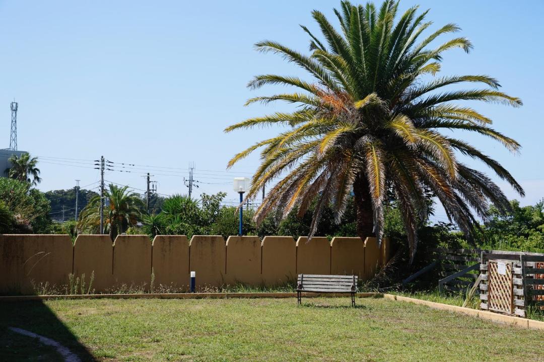 Photo of Others in Tateyama