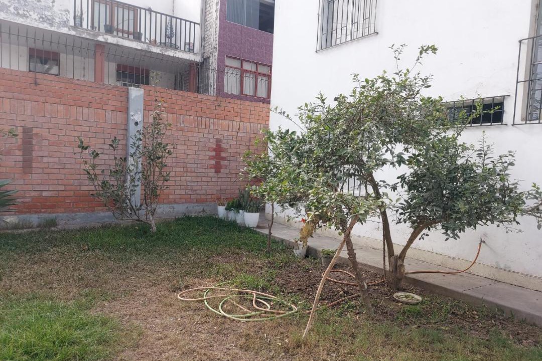 Photo of Others in Santiago de Surco