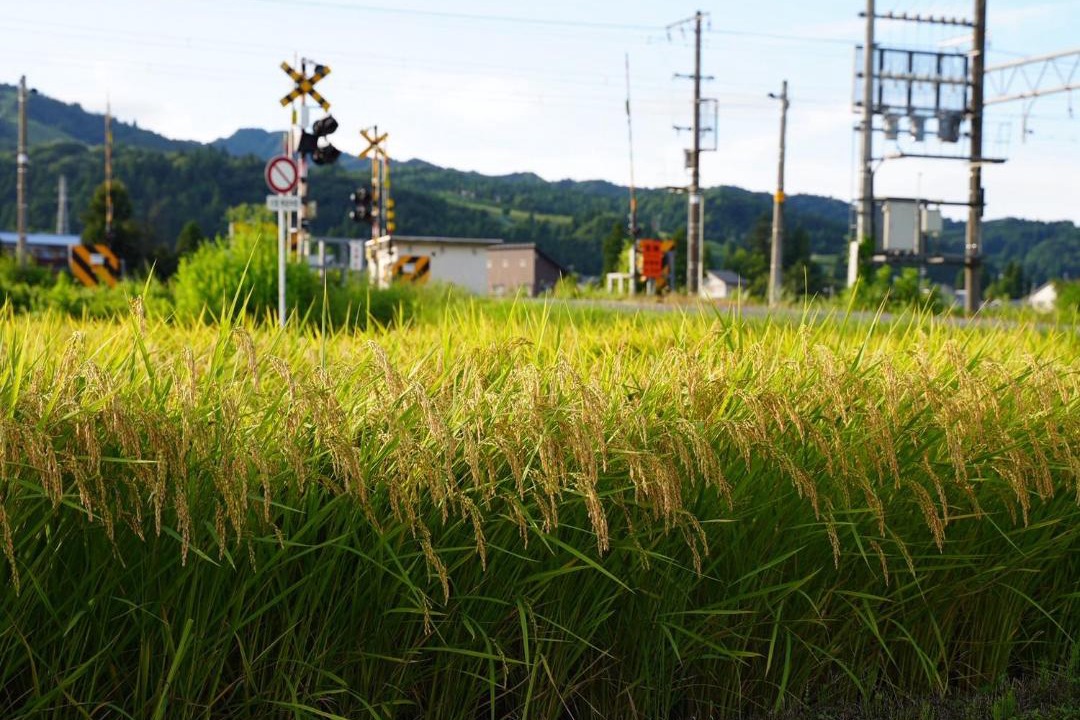 Photo of Others in Minamiuonuma
