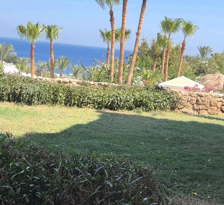 Photo of Others in Sharm El Sheikh