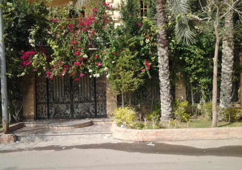 Photo of Others in Al Kharijah