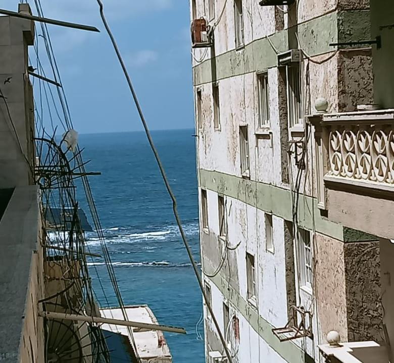 Photo of Others in Al-Muntazah