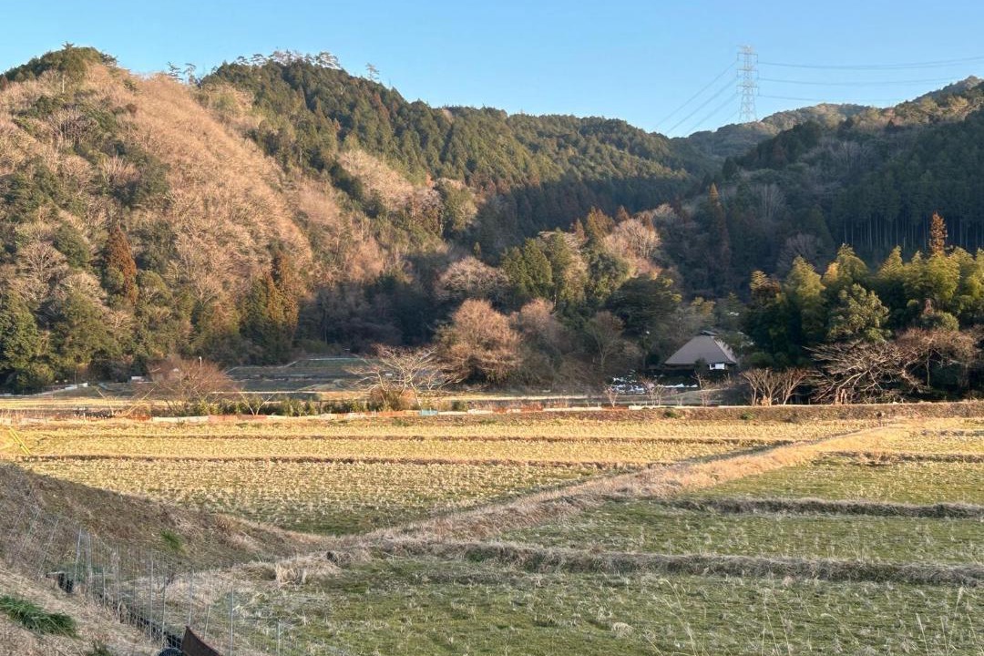 Photo of Others in Hagi