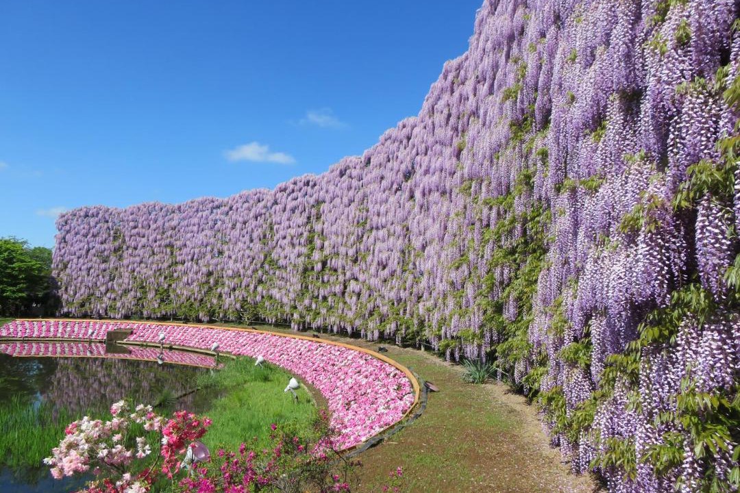 Photo of Others in Ashikaga