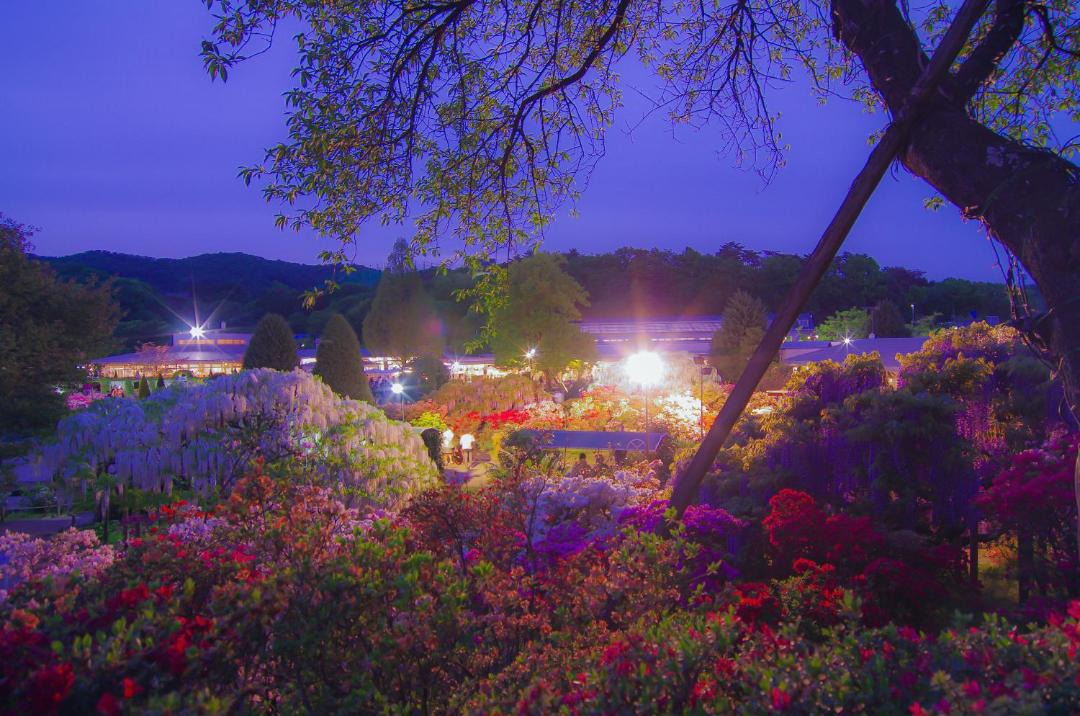 Photo of Others in Ashikaga