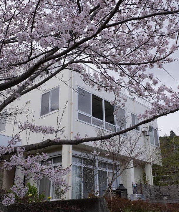 Photo of Others in Atami
