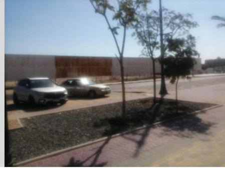 Photo of Others in Al Mamsha El Seyahi
