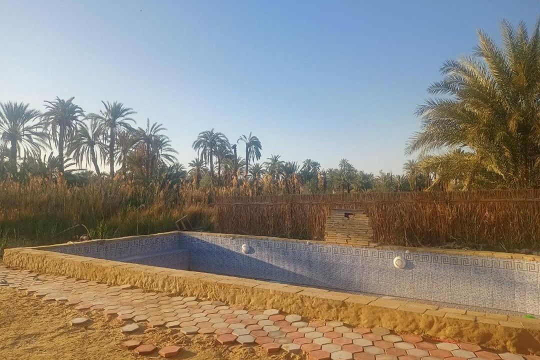 Photo of Others in Siwa