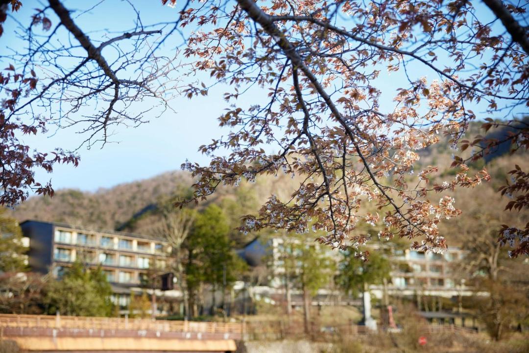 Photo of Others in Nikko