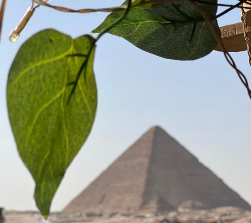 Photo of Others in Giza