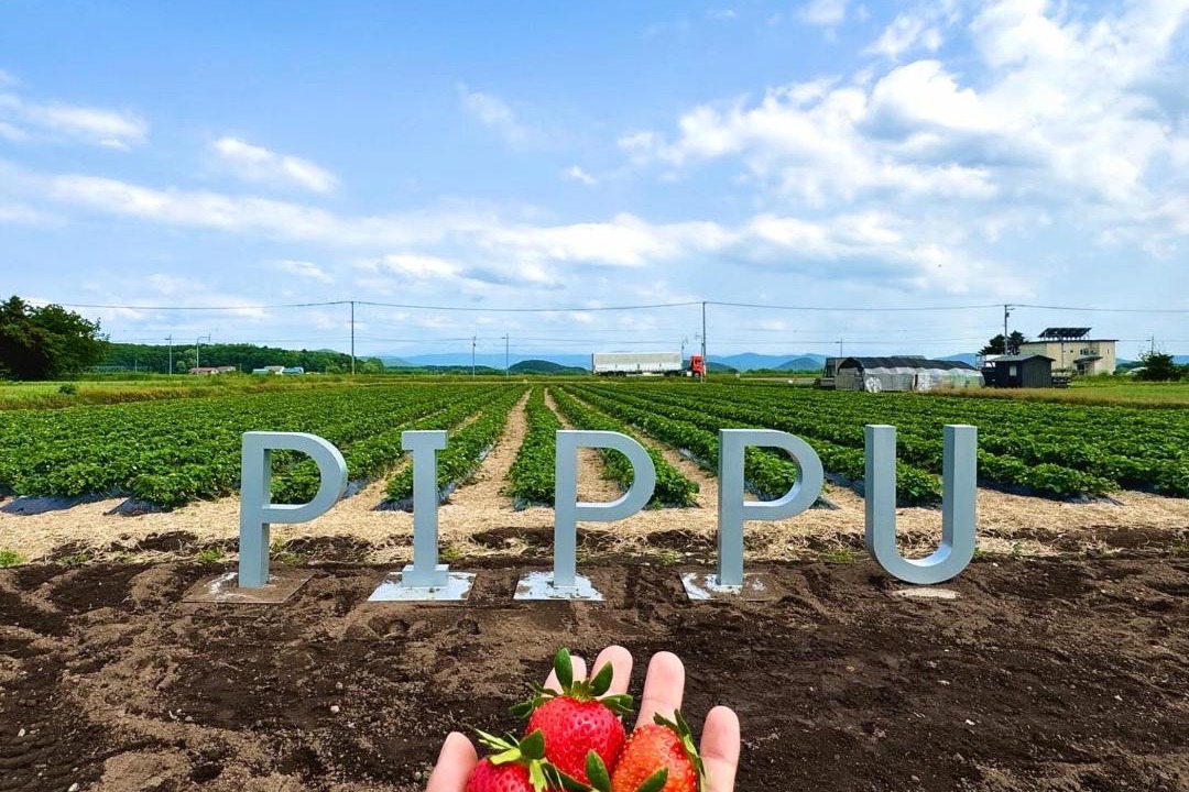 Photo of Others in Pippu