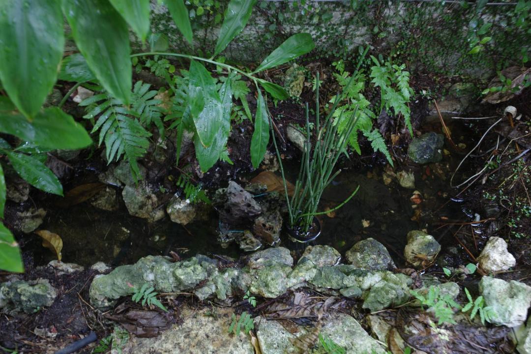 Photo of Others in Okinawa