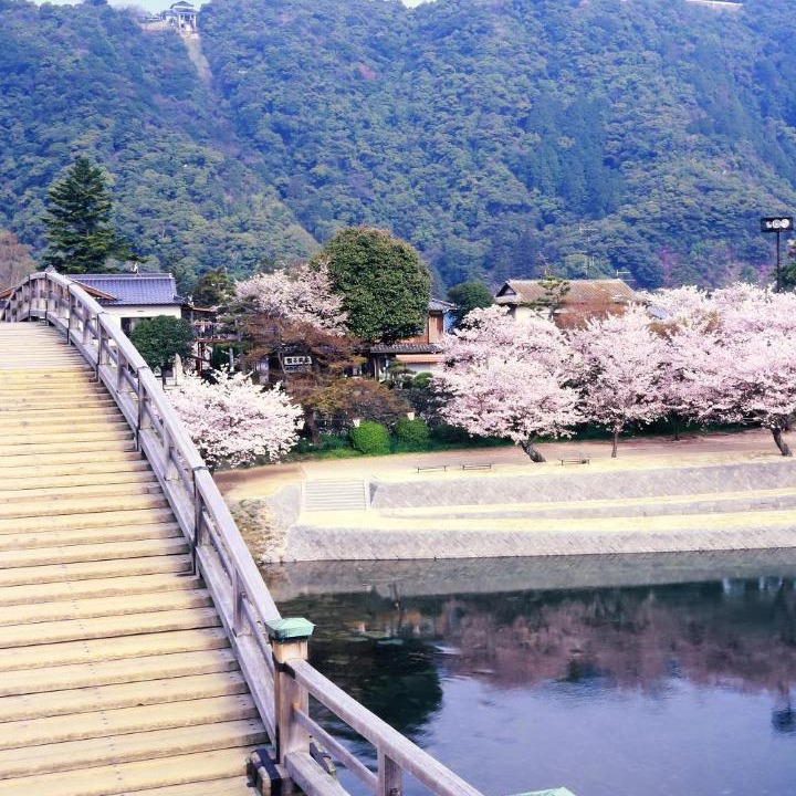 Photo of Others in Hikari