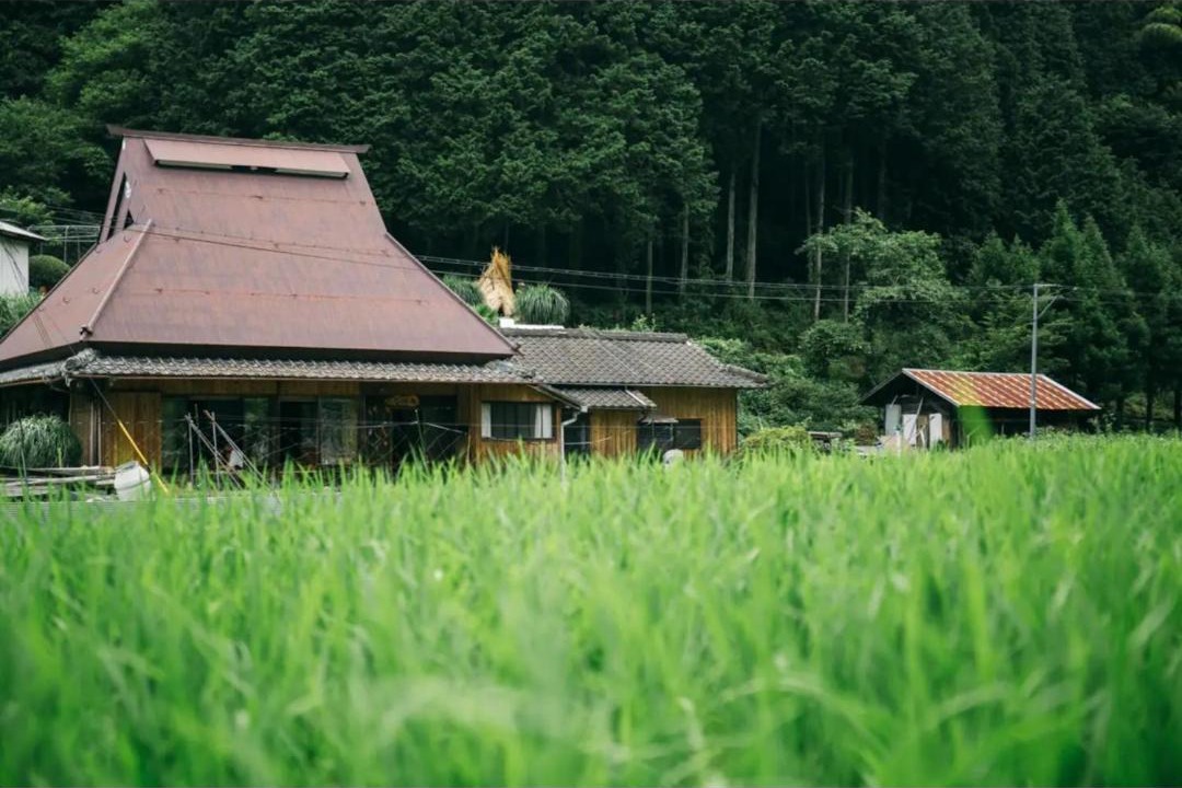 Photo of Others in Katsuragi