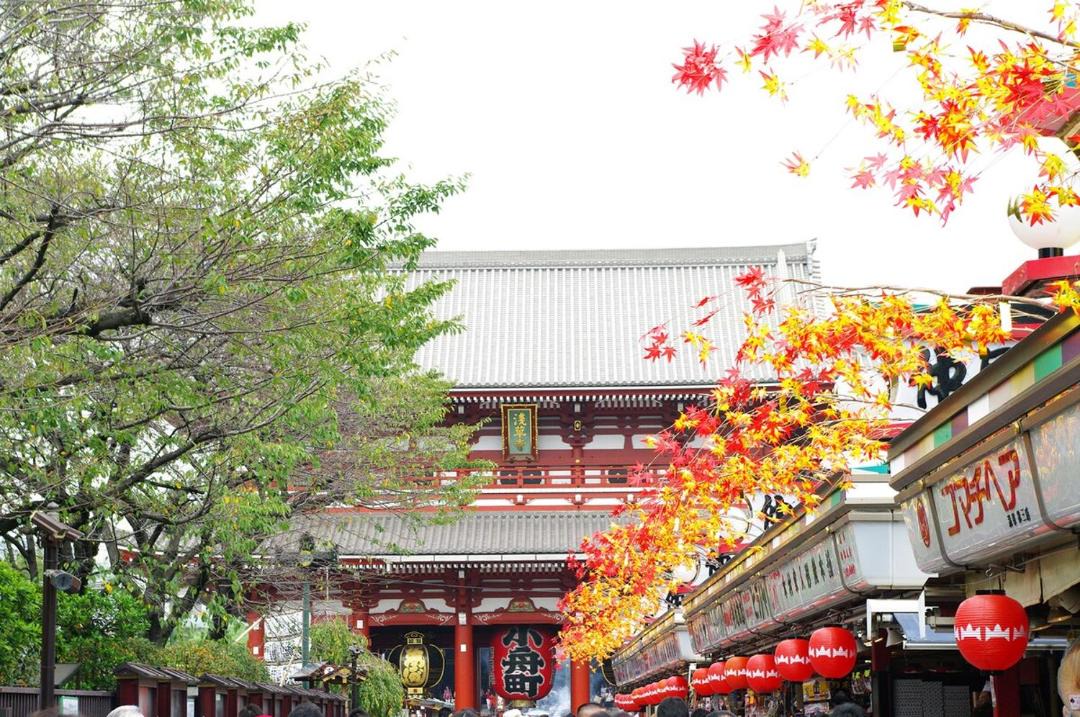 Photo of Others in Asakusa