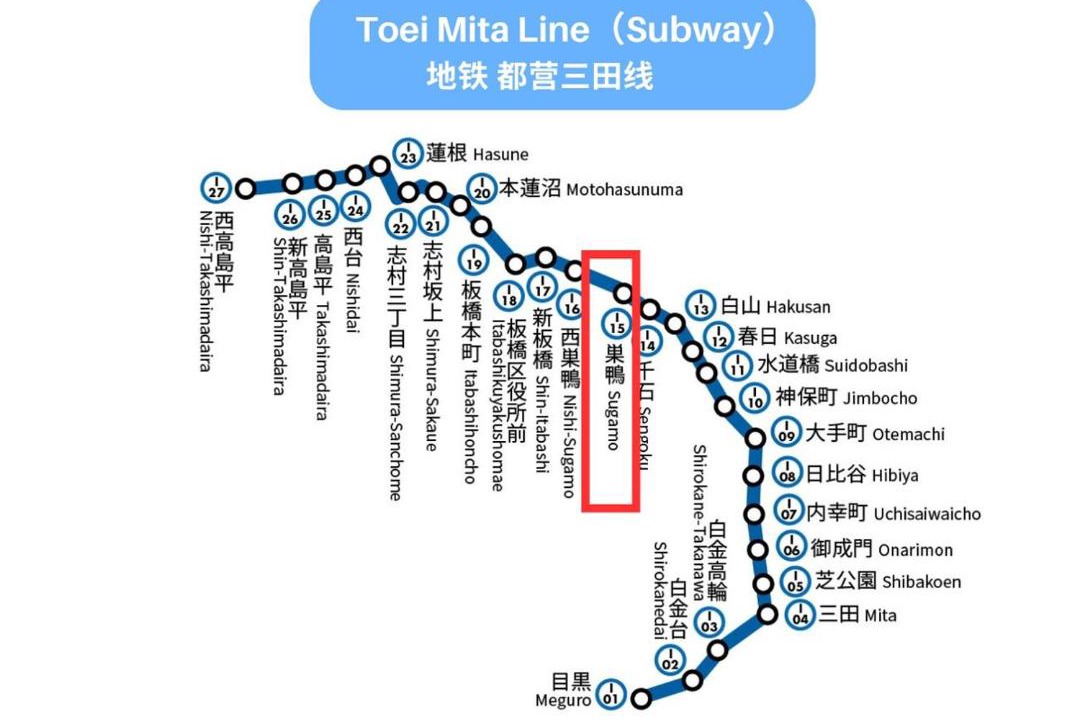 Photo of Others in Minamiotsuka