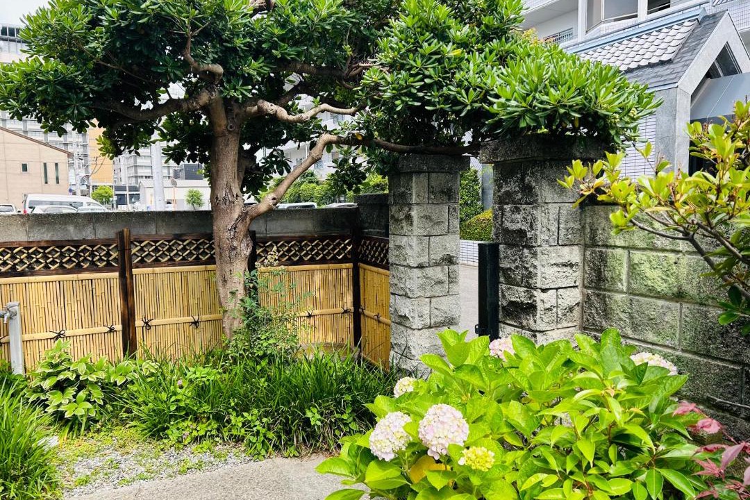Photo of Others in Hamano Cho