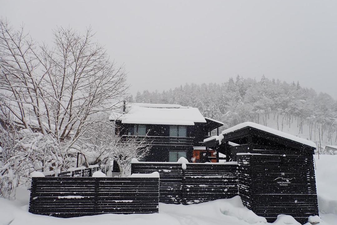 Photo of Others in Hakuba