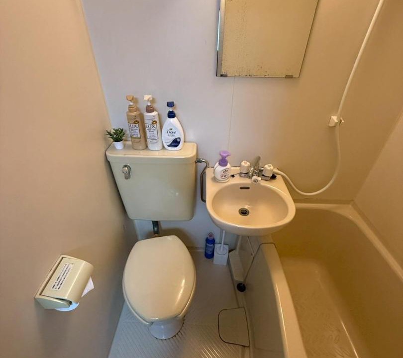Photo of Bathroom in Shinsekai