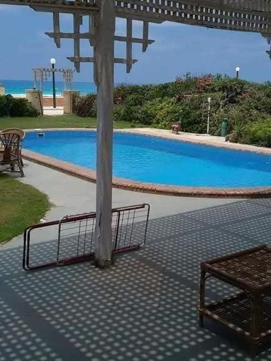 Photo of Others in Borg el Arab
