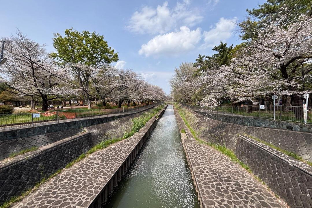 Photo of Others in Suginami