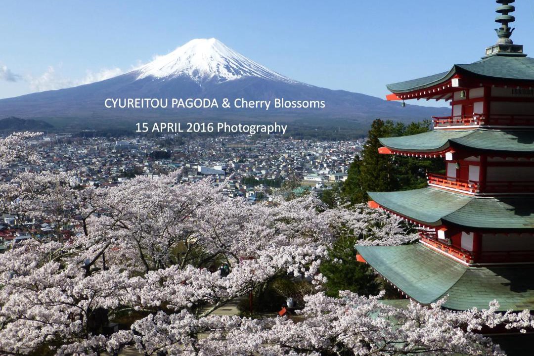 Photo of Others in Fujikawaguchiko