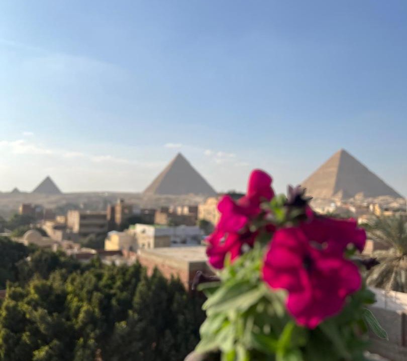 Photo of Others in Giza
