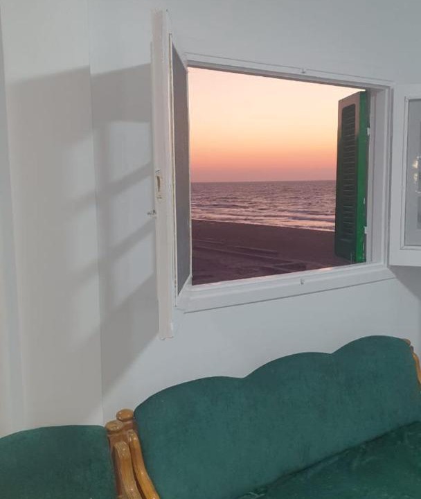 Photo of Others in Al Arish