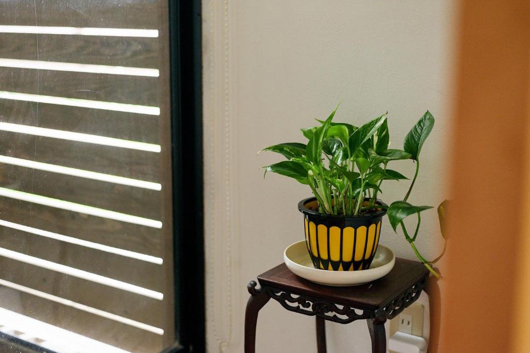 Photo of Patio Balcony in Nara