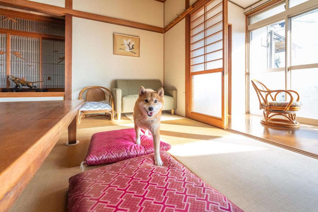 Photo of Others in Kawatana-cho