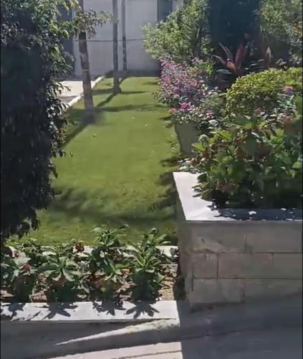 Photo of Others in Qetaa Maryout