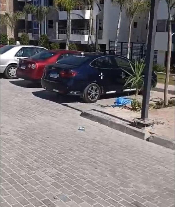 Photo of Others in Qetaa Maryout