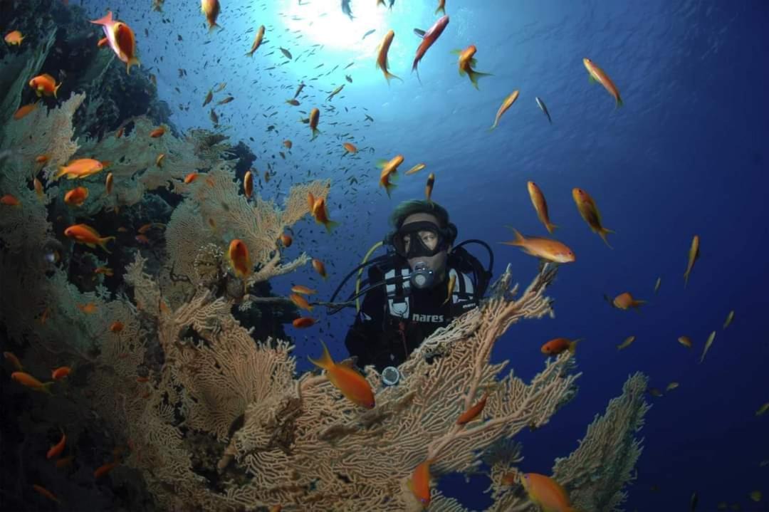 Photo of Others in Soma Bay