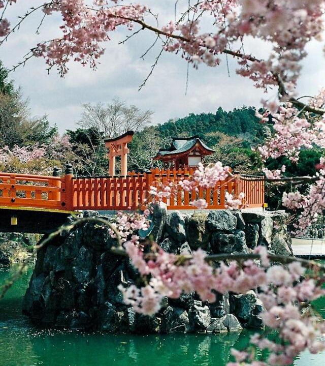 Photo of Others in Konohana