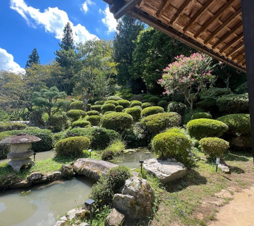 Photo of Others in Sera-gun