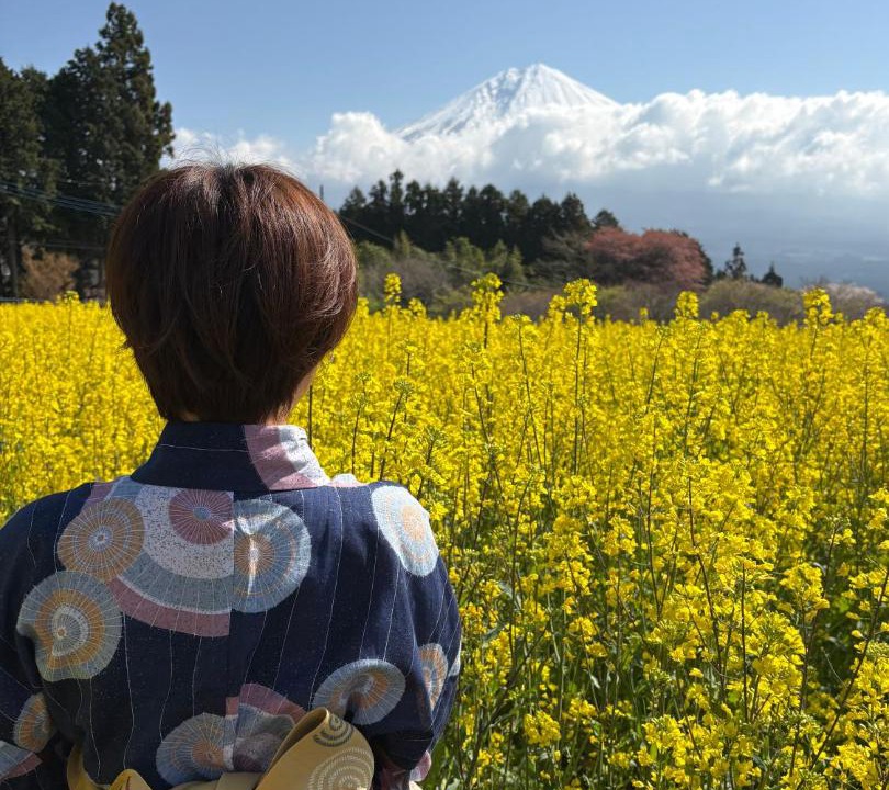 Photo of Others in Fujinomiya