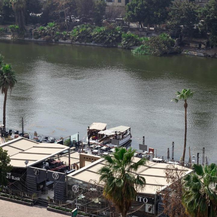 Photo of Others in Zamalek
