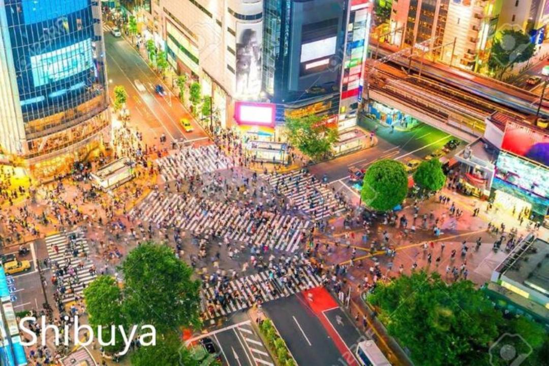 Photo of Others in Setagaya