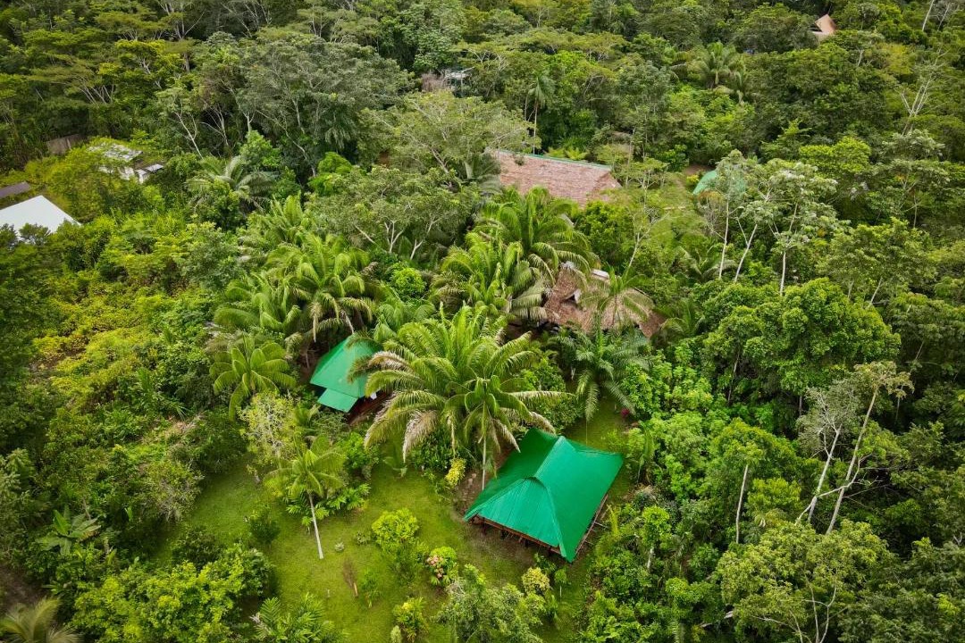 Photo of Others in Puerto Maldonado