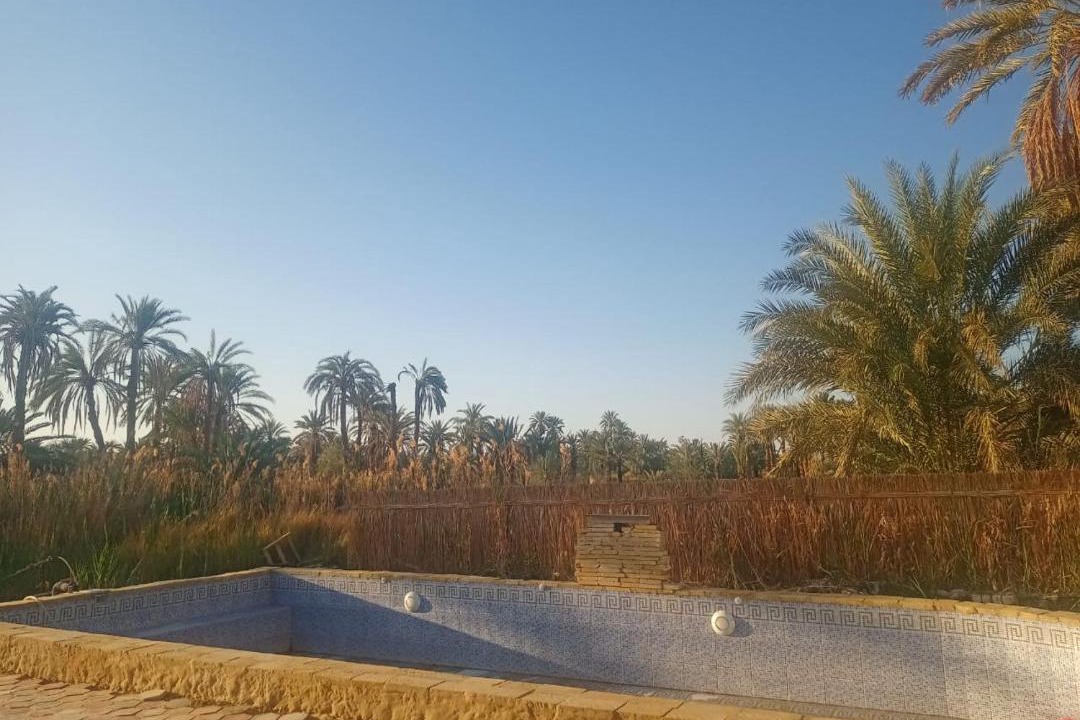 Photo of Others in Siwa