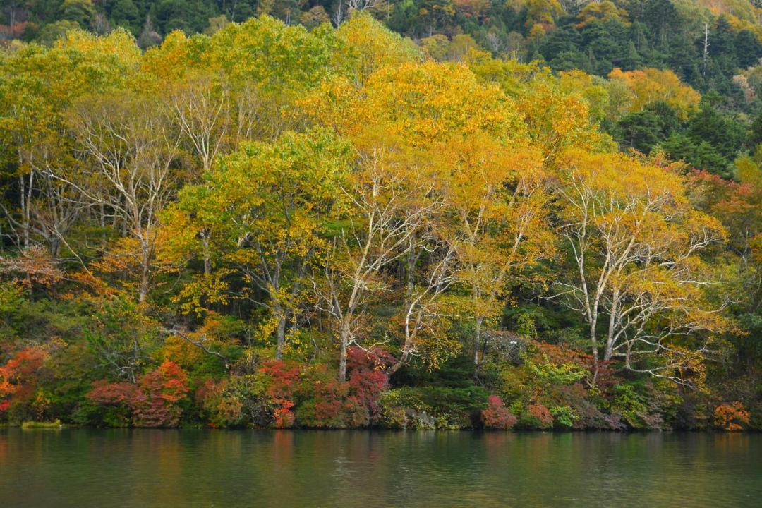 Photo of Others in Nikko