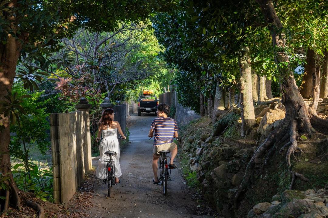 Photo of Others in Motobu