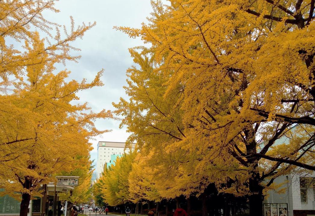 Photo of Others in Chuo-ku