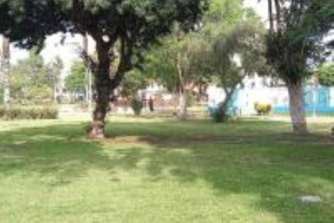 Photo of Others in San Miguel
