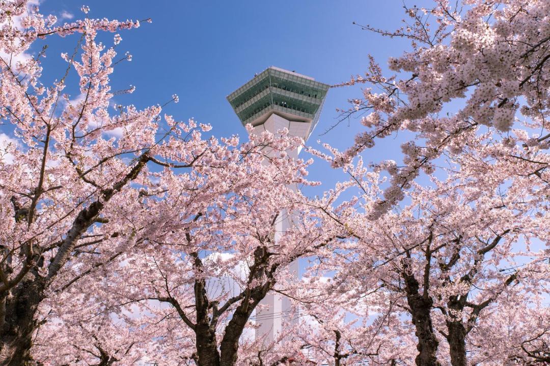 Photo of Others in Hakodate