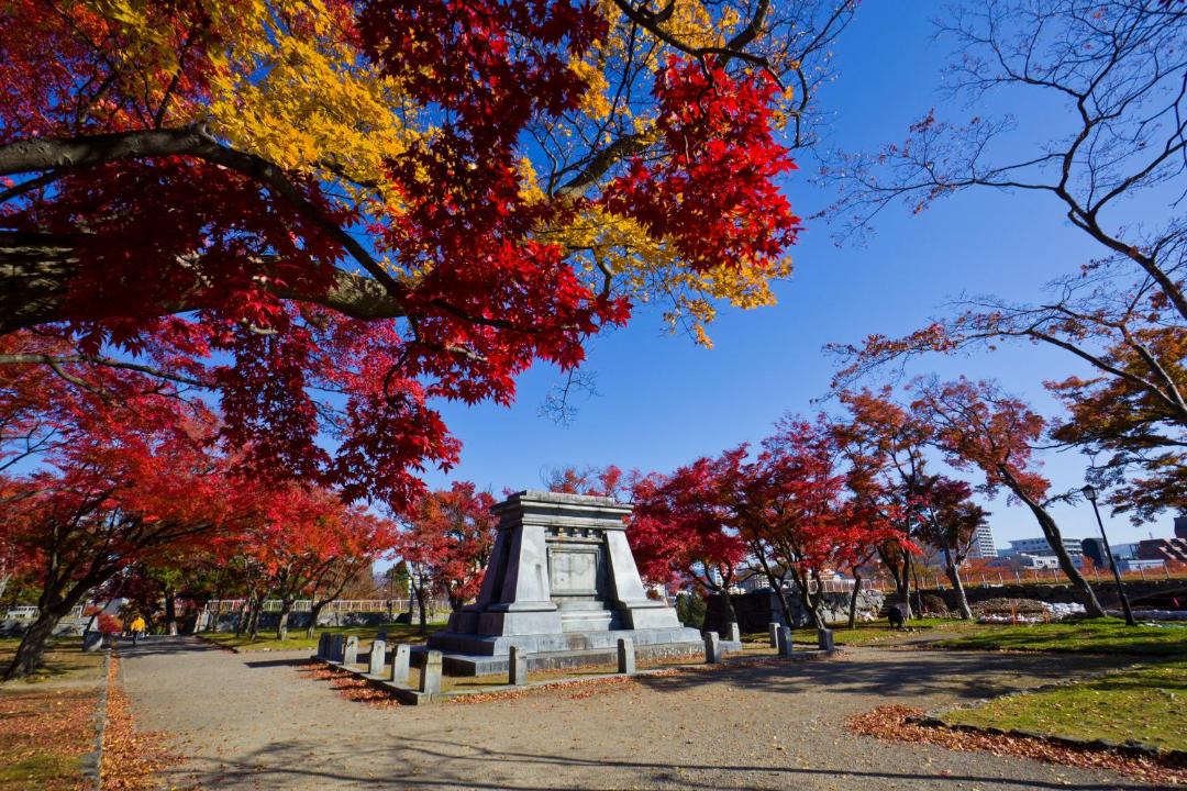 Photo of Others in Morioka