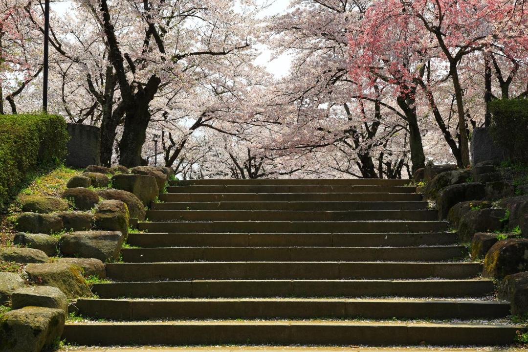 Photo of Others in Morioka